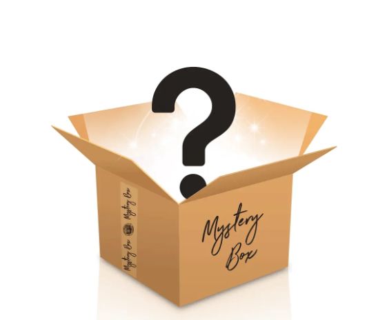 Damaged Box Diecast Mystery Box (4 Diecast SKUs $75-$100 Value)