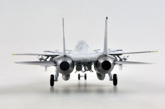 Easy Model 1/72 F-14D VF-213