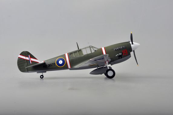 Easy Model 1/48 P-40M