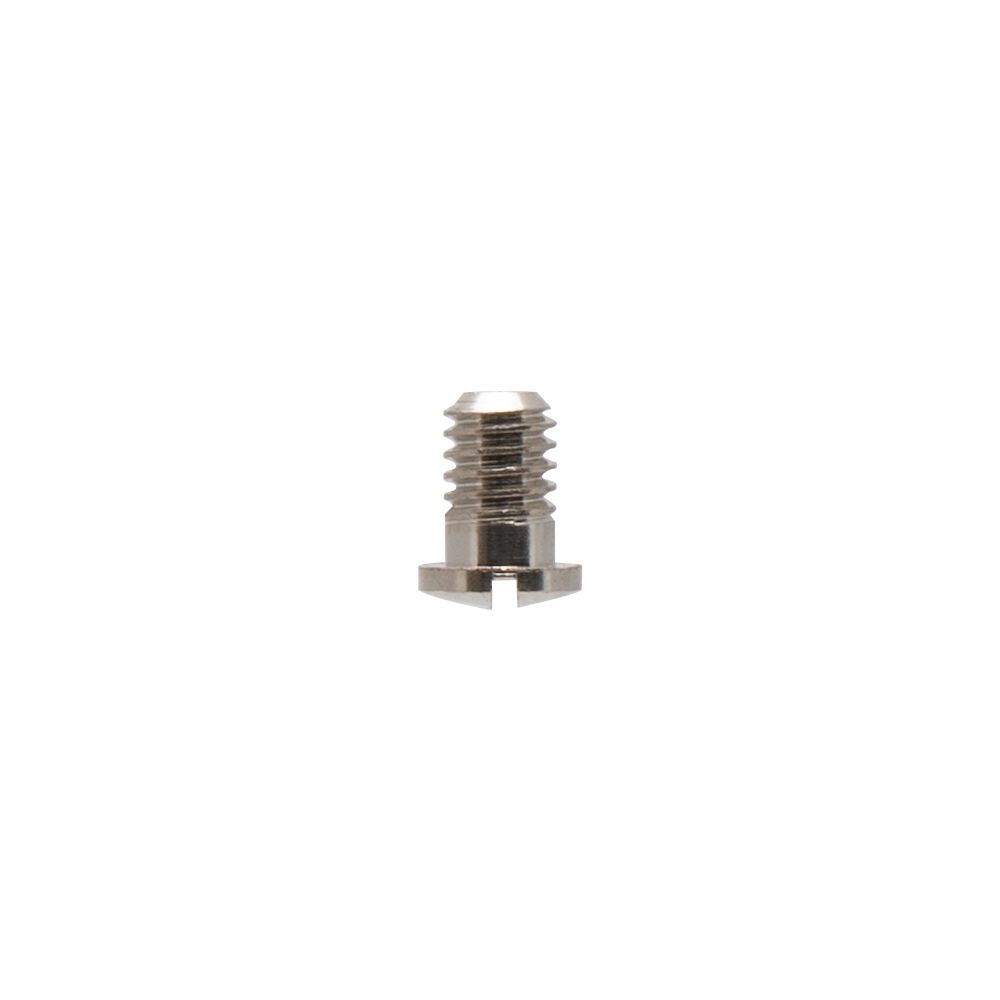 Iwata Main Body Ring Screw for NEO for Iwata: TRN2/TRN1 - Click Image to Close